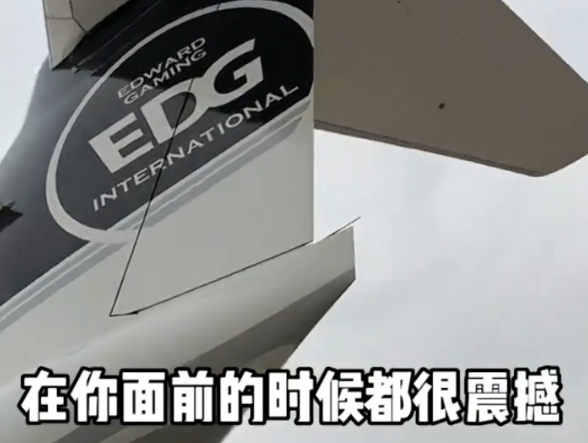 俱乐部最大财富？博主体验EDG飞机：价值5.2亿 刘强东、马斯克同款