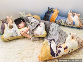 【蜗牛电竞】『圍繞貓抱枕』讓你體驗被貓咪簇擁的感覺