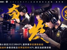 【蜗牛电竞】KPL官方：WB锁定夏季赛季后赛败者组