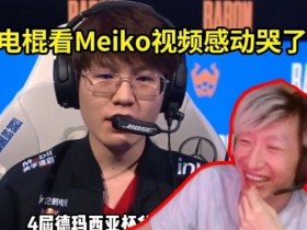 【蜗牛电竞】电棍看Meiko大满贯视频差点哭了：我之前还想骂他菜，我是人吗？