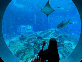 【蜗牛电竞】假期第一弹~BLG主教练Tabe分享照片：和妻子去海洋馆看海豚🐬